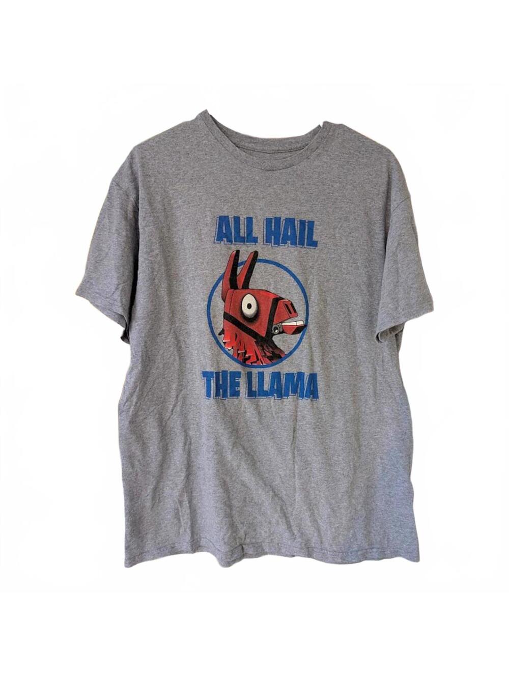 Fortnite All Hail The Llama Graphic T-Shirt Delta Pro Weight Mens L 21x28